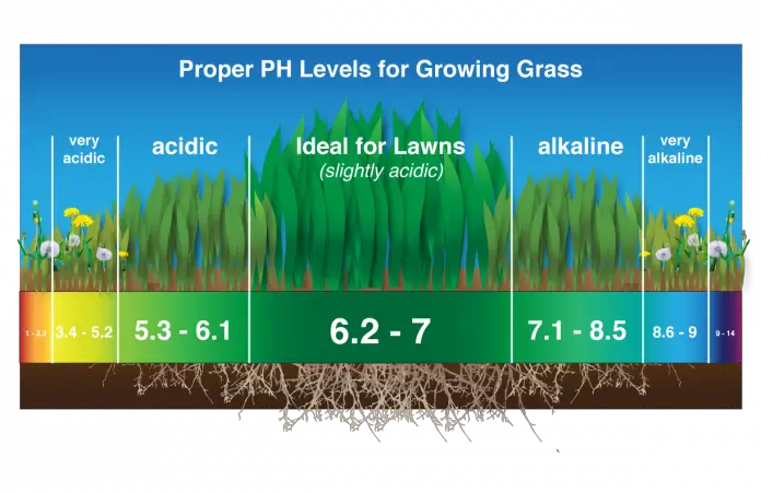 proper ph for growing grass natural state horticare
