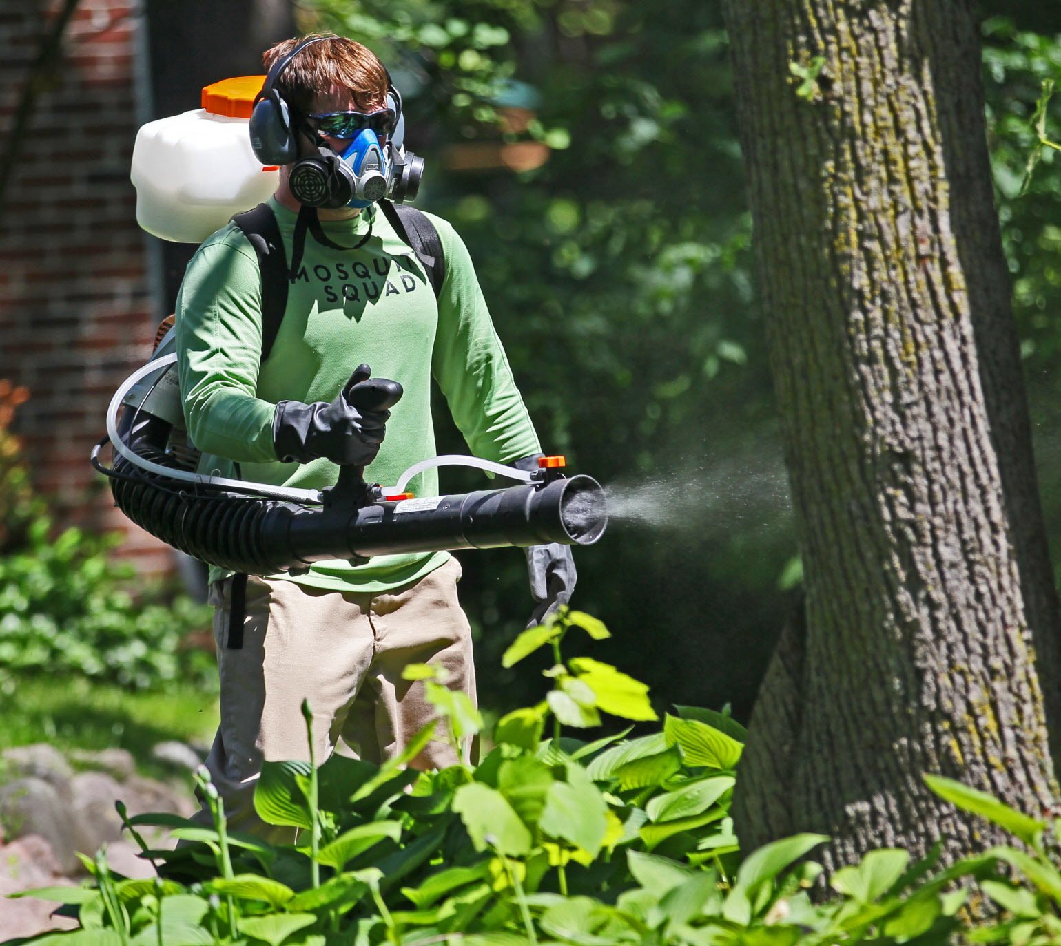 Protect Your Family from Mosquitoes in Michigan with Our ...