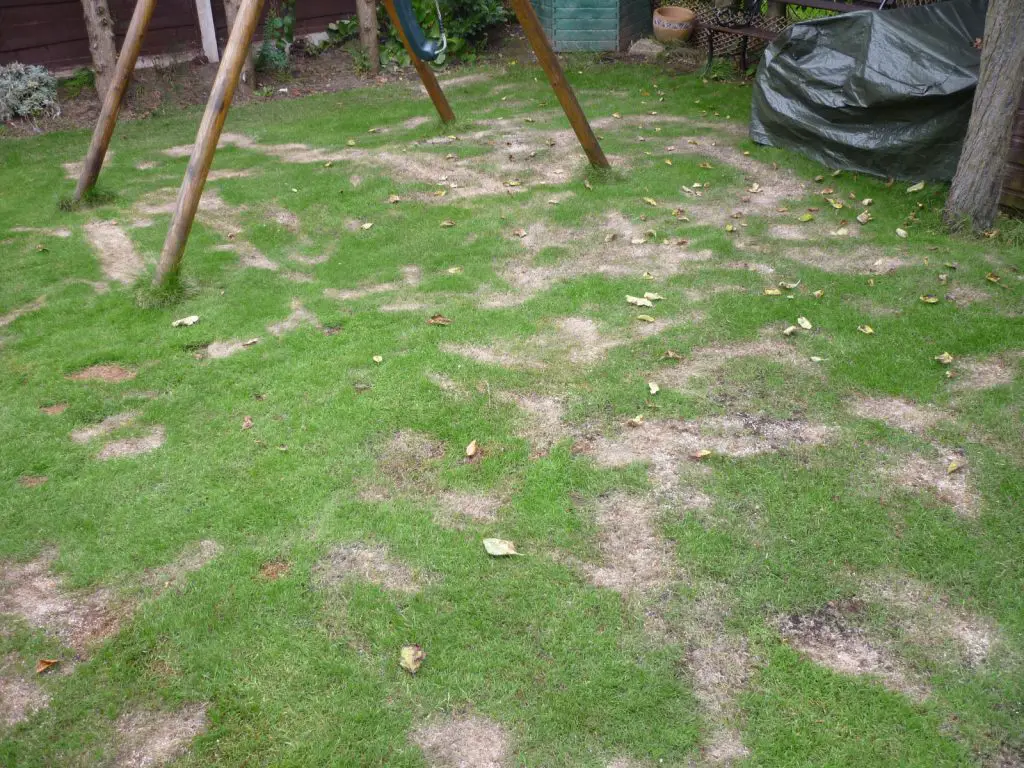 Question: How do I fix my burnt lawn?