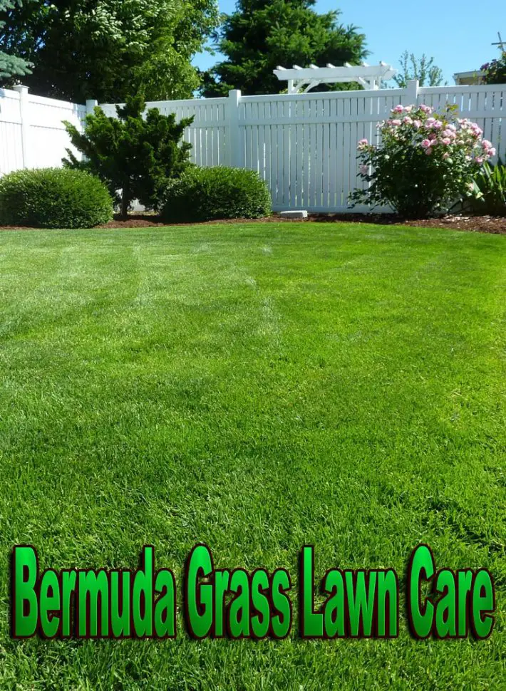 Quiet Corner:Bermuda Grass Lawn Care