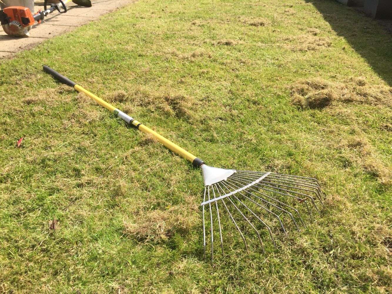 Rake your lawn with a spring tine rake to remove dead thatch and moss ...