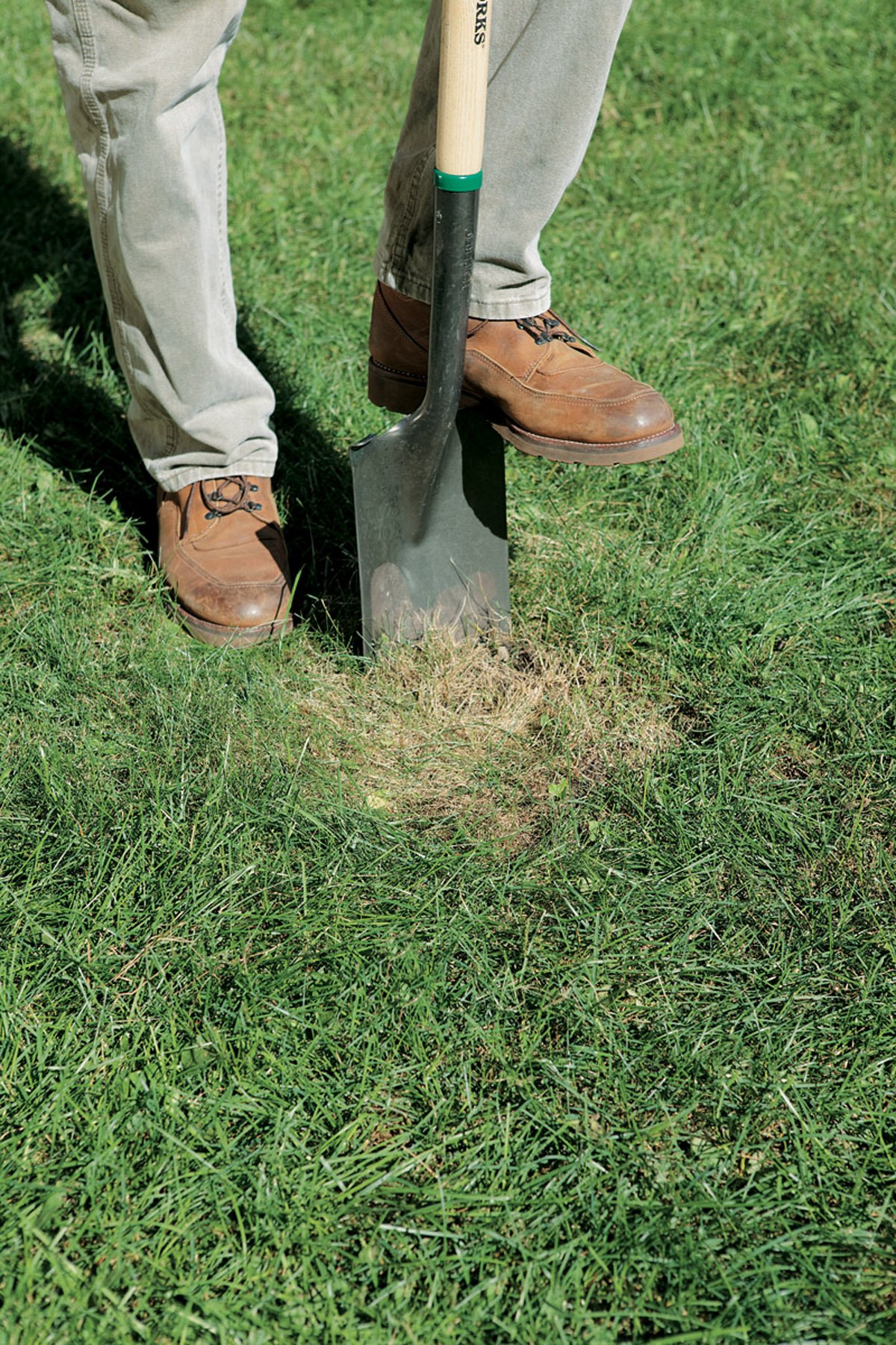 Repairing Bare Spots in Your Lawn With Sod