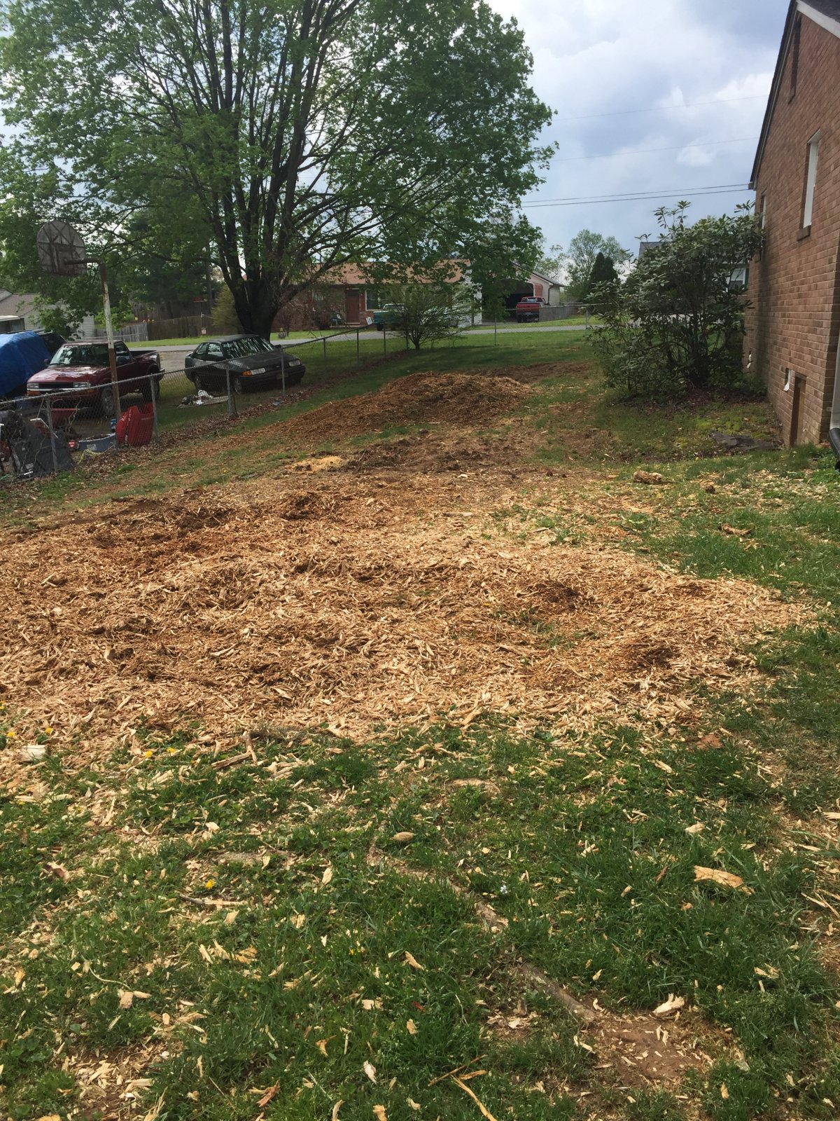 Repairing my yard after tree removal