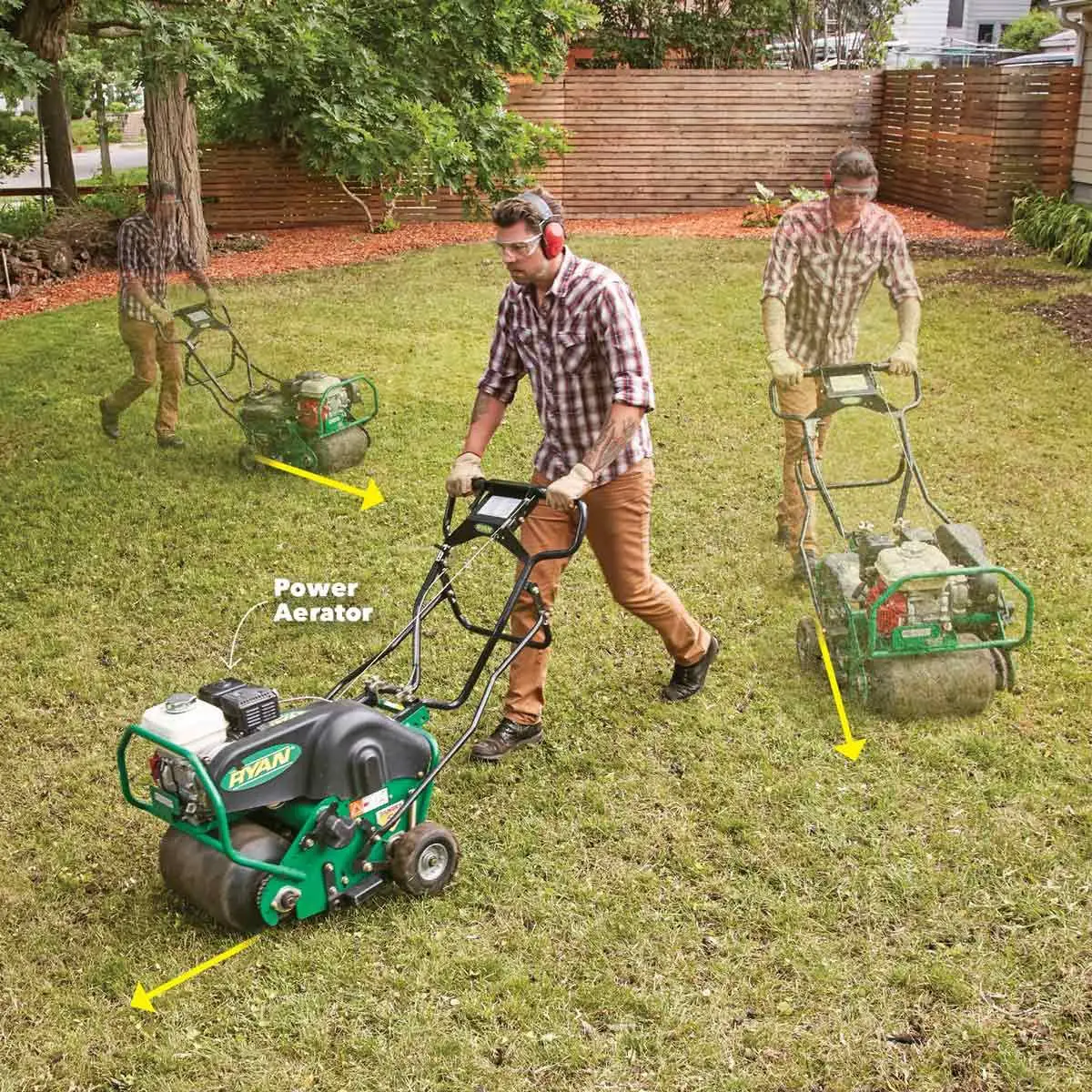 Restoring a weedy patchy lawn