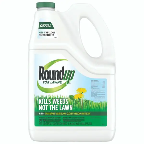 Roundup 4375010 Safe Weed Killer Lawns