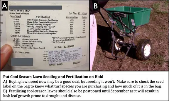 Seeding and Fertilizing Missouri Lawns // Missouri ...