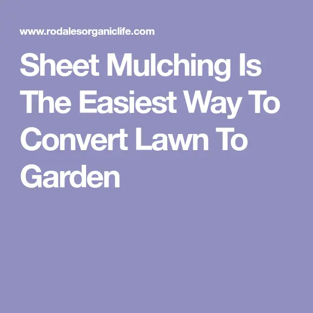 Sheet Mulching Is The Easiest Way To Convert Lawn To Garden