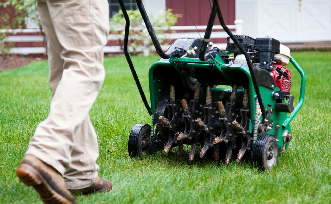Should I Aerate My Lawn In The Fall?