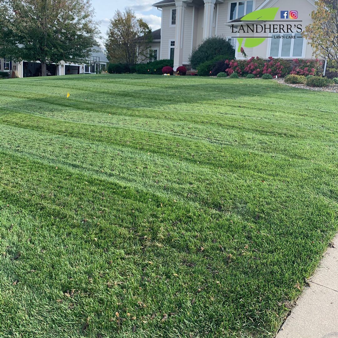 Should I Aerate My Lawn?