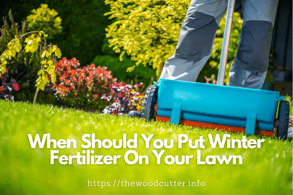 Should I Fertilize My Lawn In The Winter?
