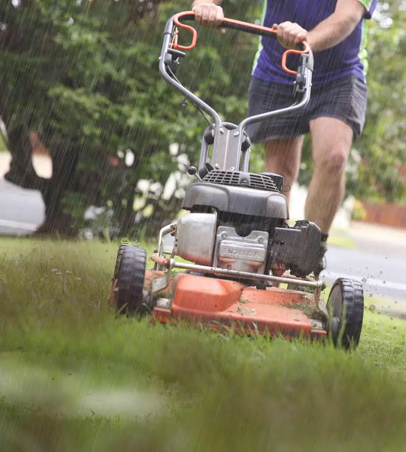 Should You Keep Lawn Mowing in Winter?