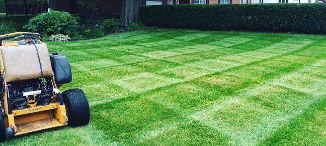 Should you Mow the Lawn or Pay A Service?