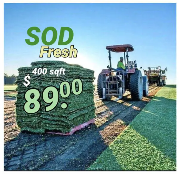 Sod / Grass (400 sq feet pallets) for Sale in Orlando, FL