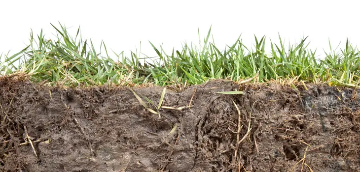 Soil Compaction: The Problem Many Lawns Face and How to Fix It