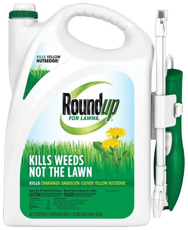Spray Weed Killer Before Or After Mowing