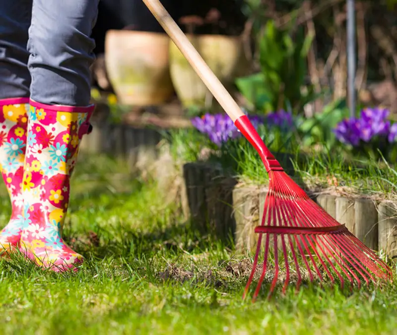 Spring Lawn Care: The Go