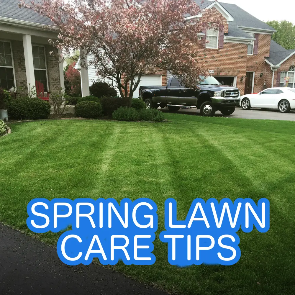 how-to-do-spring-lawn-care-lovemylawn
