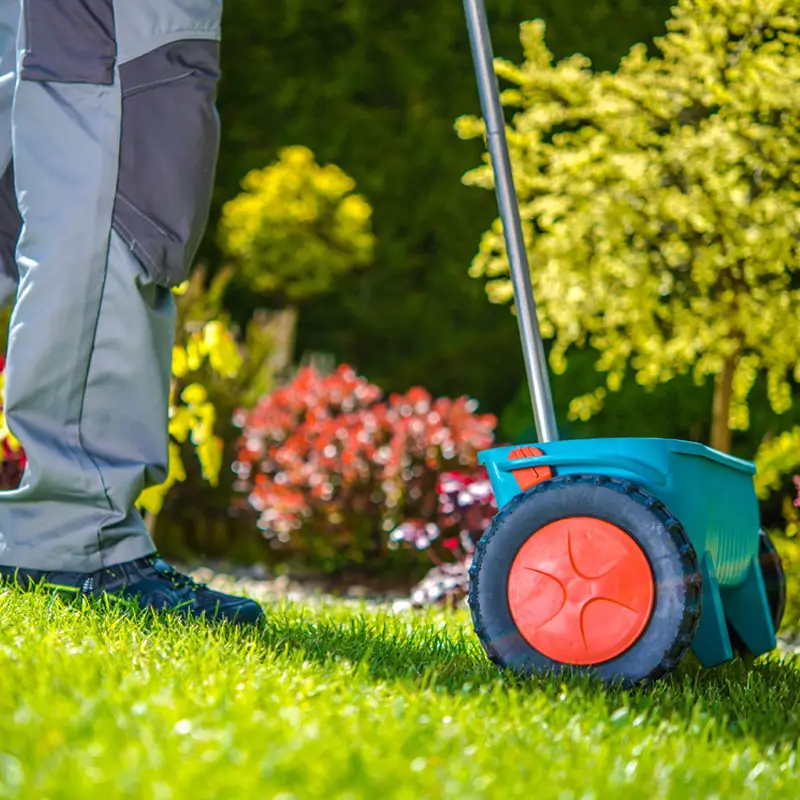 Spring Lawn Care: When Is The Best Time To Fertilize in Cleveland ...