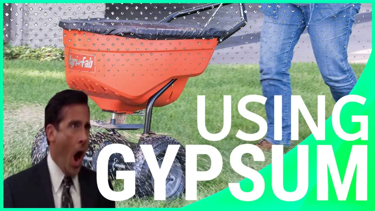 Stop Applying Gypsum For Clay Soil &  Lawns