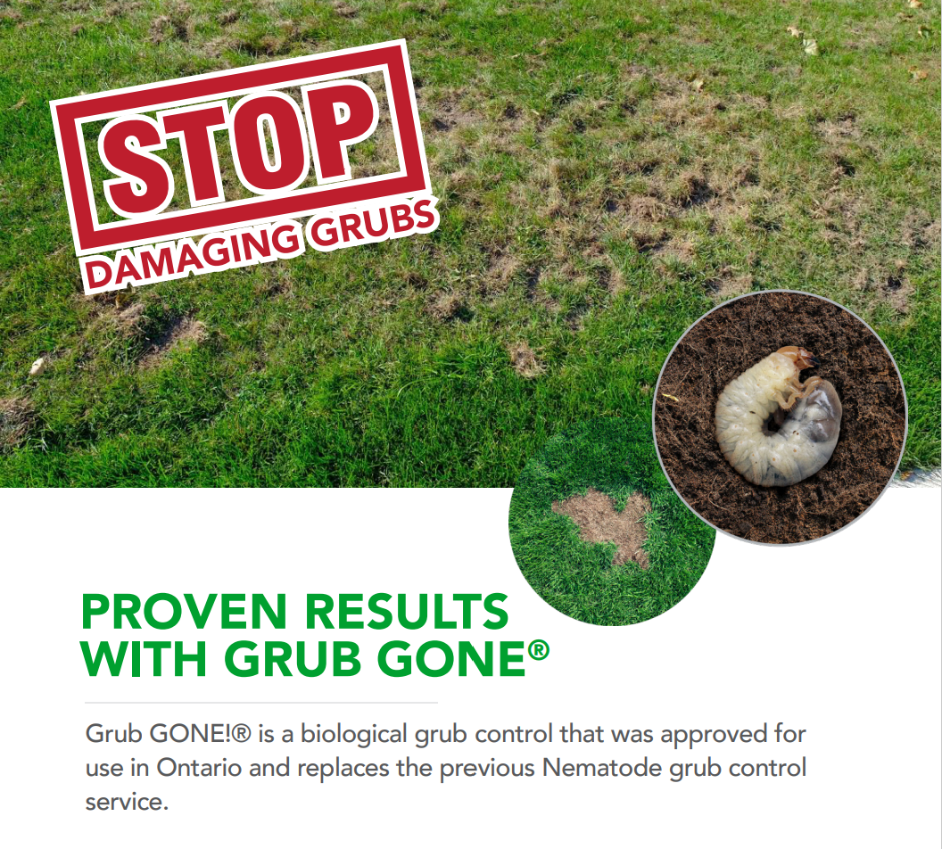 Stop Damaging Grubs With GRUB GONEÂ®
