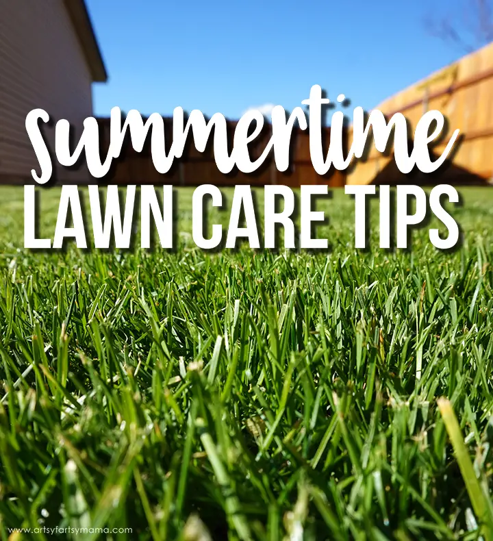 Summertime Lawn Care Tips in 2020
