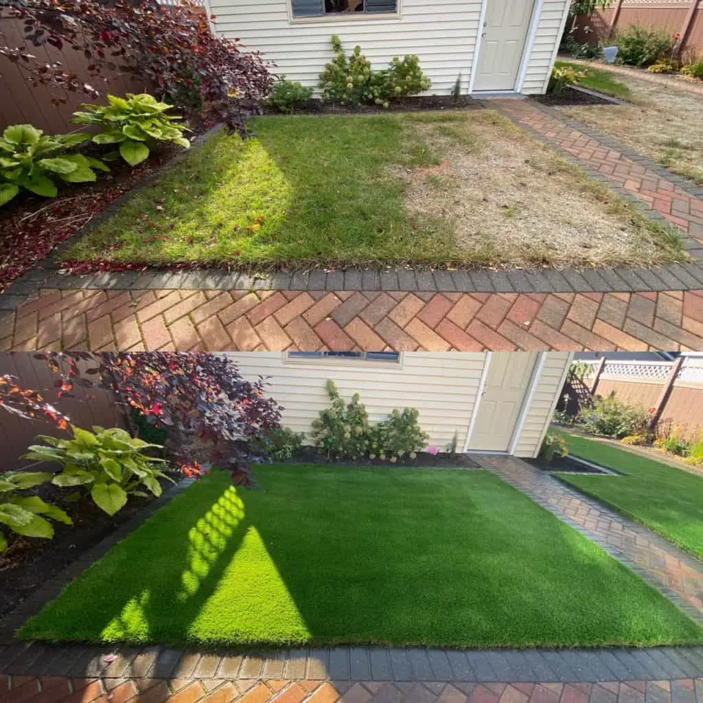Synthetic Lawn Installation