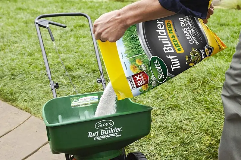 The 4 Best Weed Killers For Lawns