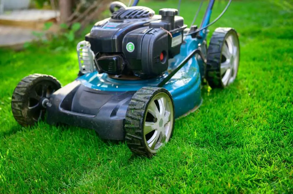 What Is The Best Self Propelled Mulching Lawn Mower