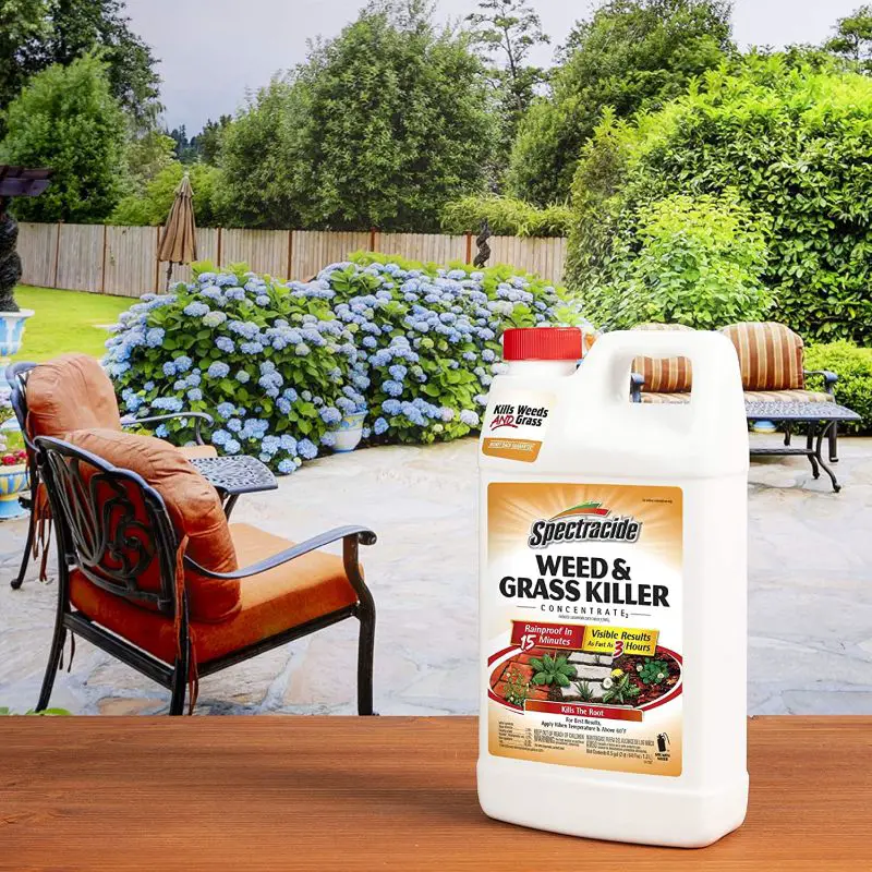 The 5 Best Weed Killers for Lawns