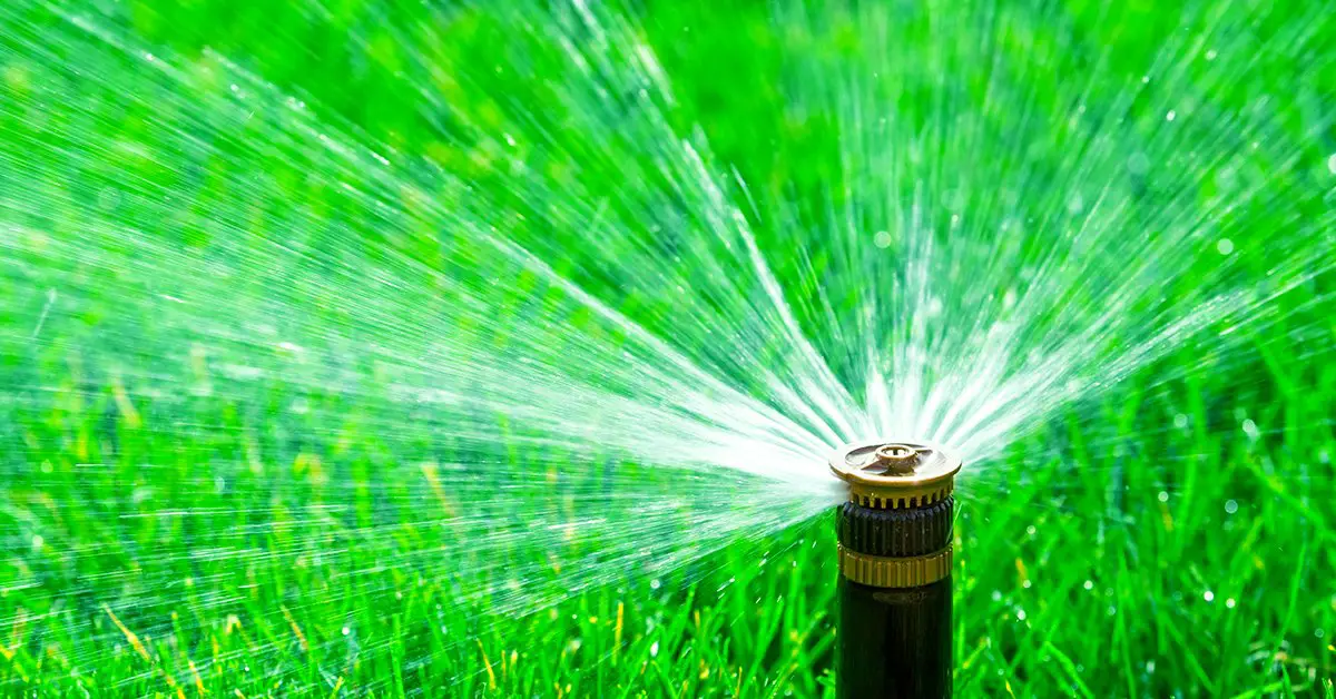 The Best Time To Water Your Lawn