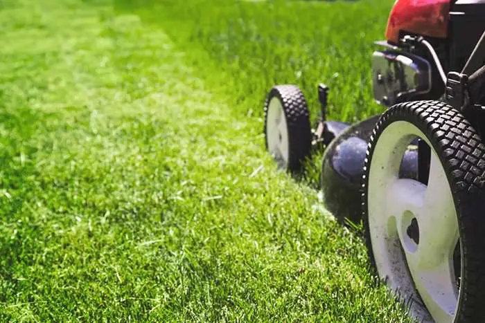 The best way to mow your lawn, according to a golf