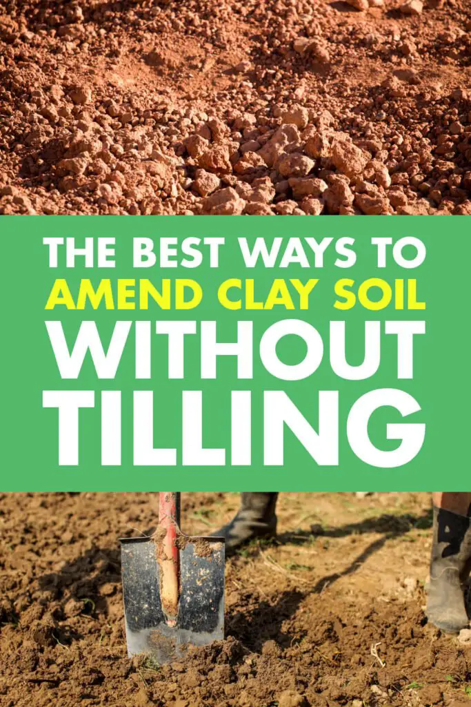 The Best Ways to Amend Clay Soil Without Tilling ...