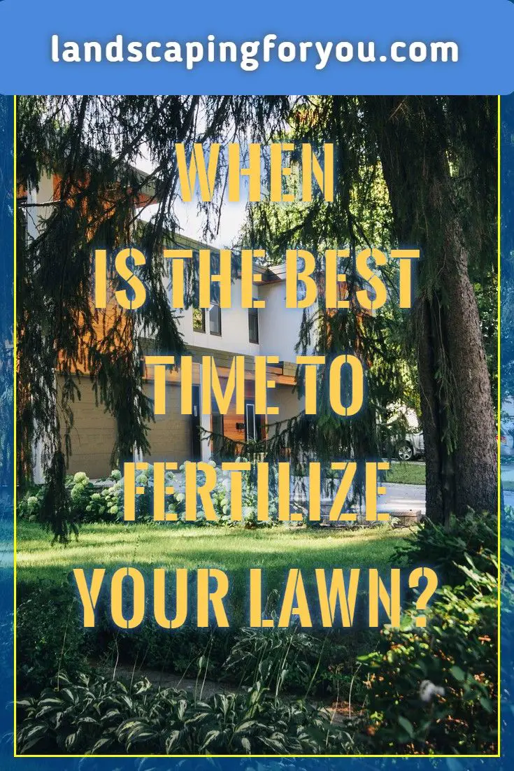 The Guides You Need To Learn When To Fertilize Lawn ...