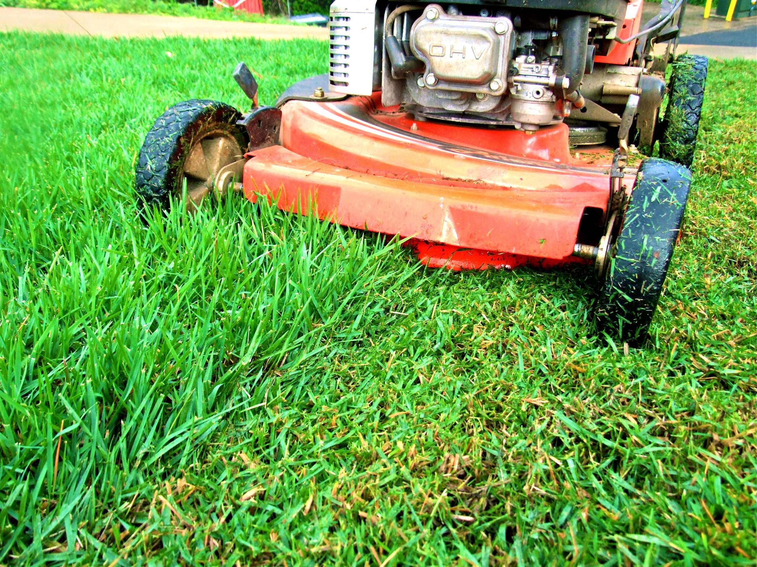 The Key To Mowing Hawaii Turf Properly