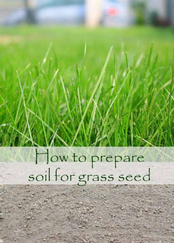 The Right Way to Prepare Your Soil to Plant Grass Seed ...