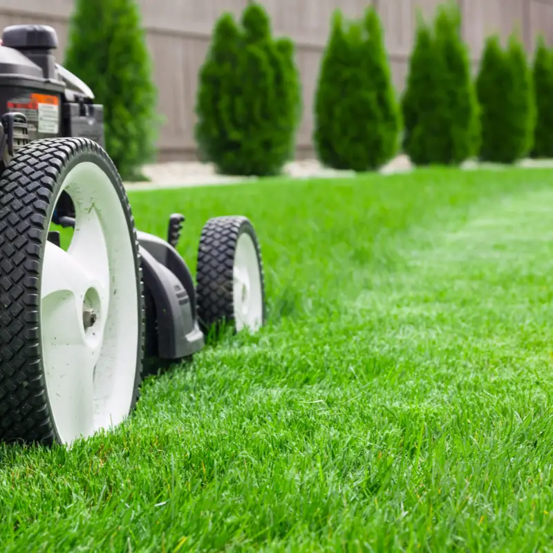 This Is The Correct Way To Mow Your Lawn