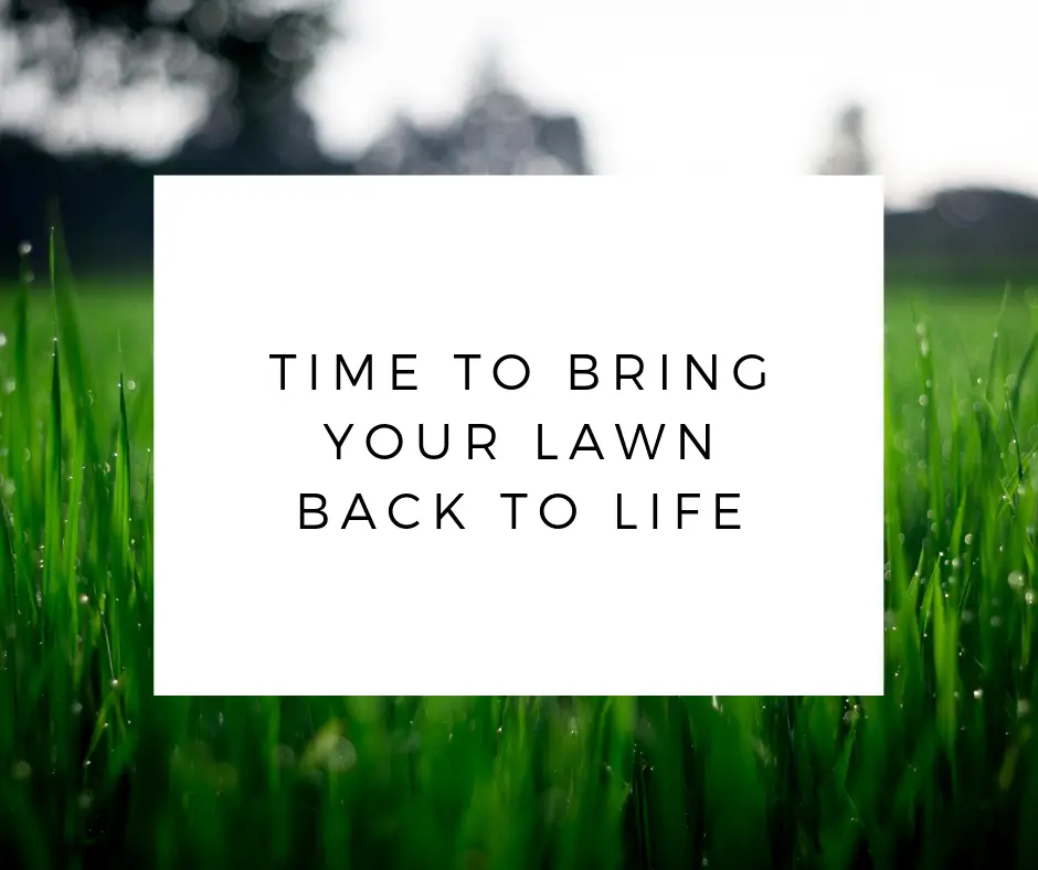 Time To Bring Your Lawn Back To Life  WATERLEAF HOA