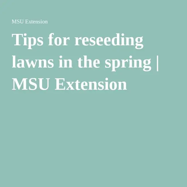 Tips for reseeding lawns in spring