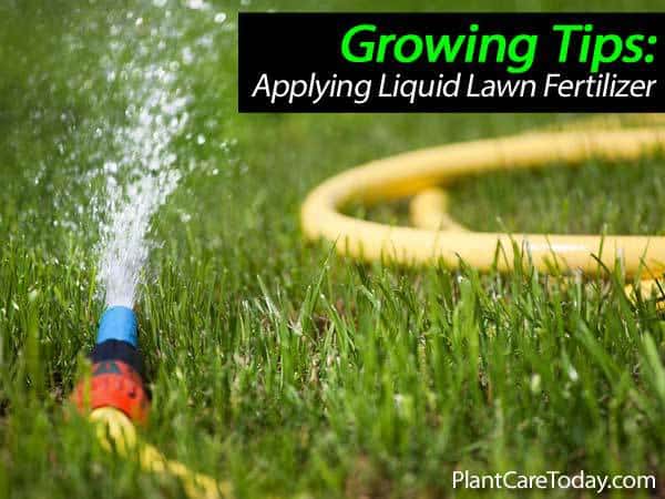Tips On Applying Liquid Lawn Fertilizer  Best Garden Info