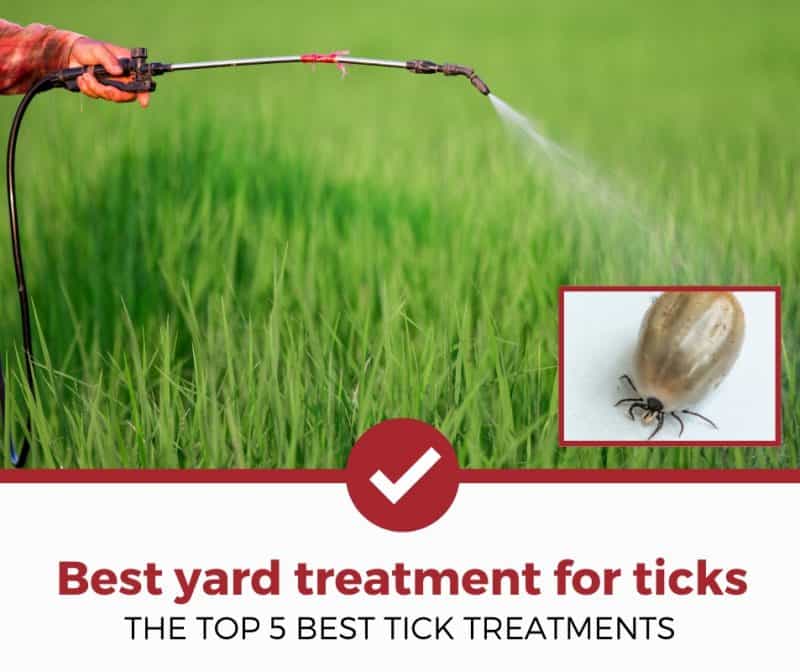 Top 5 Best Tick Sprays for Yards (**2021 Review**)
