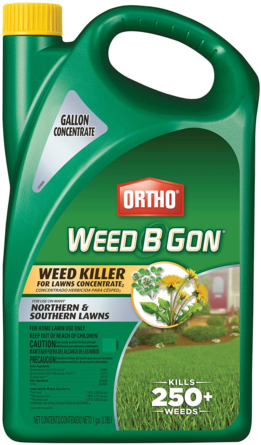 Top 5 Best Weed Killers for Creeping Charlie (**2021 ...