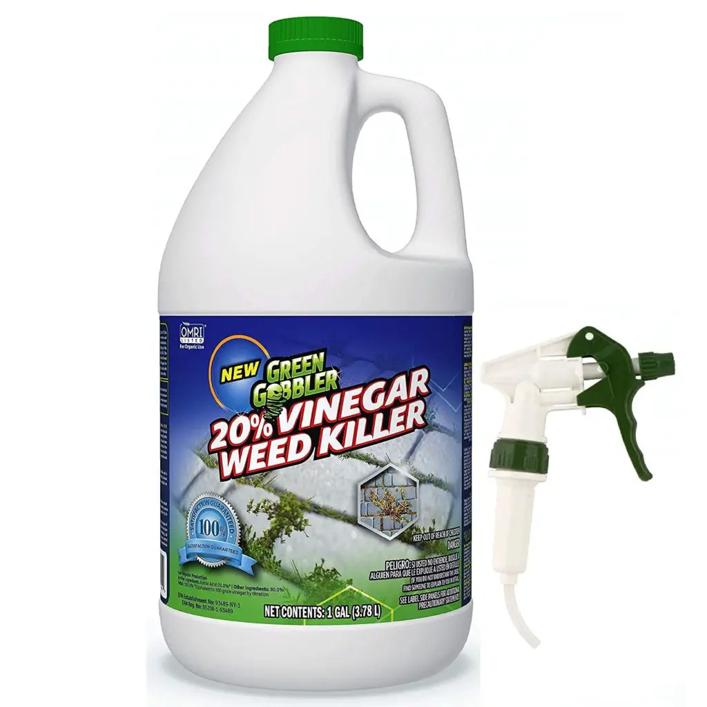 Top 5 Best Weed Killers For Flower Beds [2021 Review]