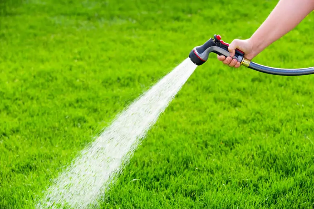 Understanding the Basics of Watering Your Garden Lawn in ...