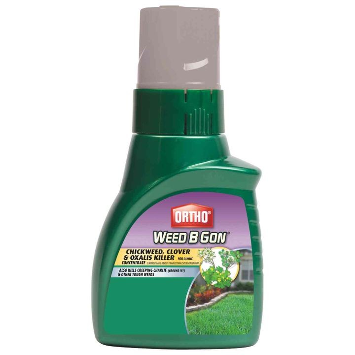 Weed B Gon Weed Killer For Lawns Concentrate