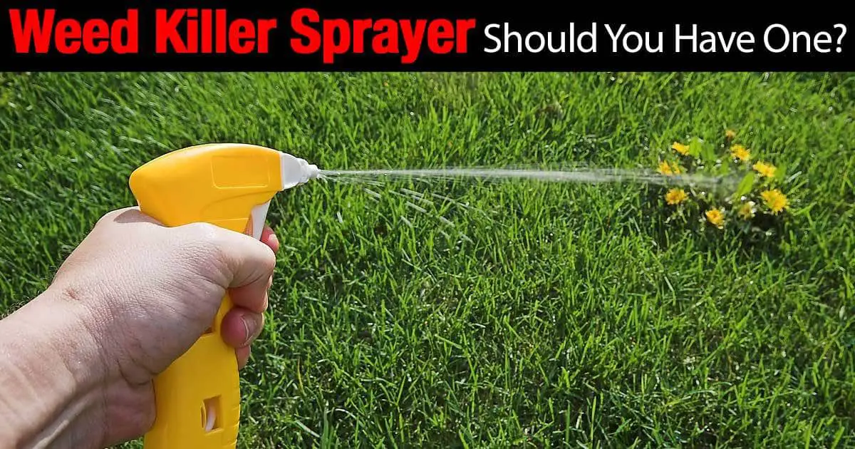 Weed Killer Sprayer  Should You Have One?