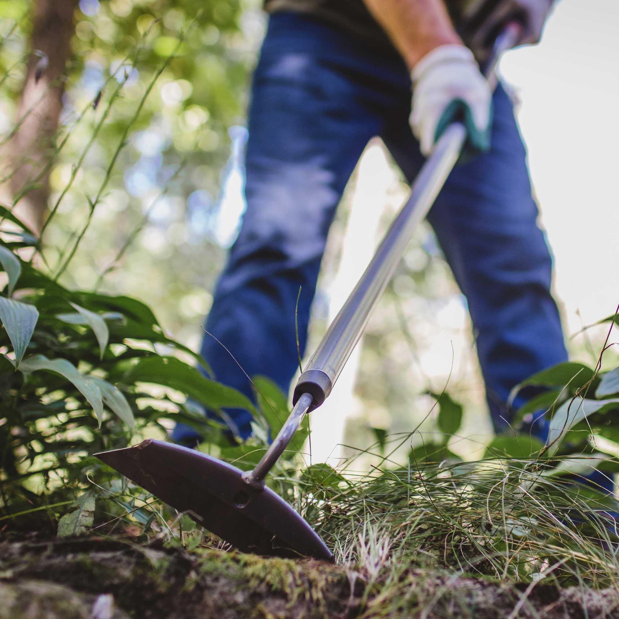 Weeding 101: How to Weed Your Garden