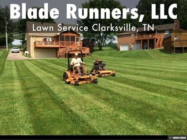 What are some catchy lawn care business names?