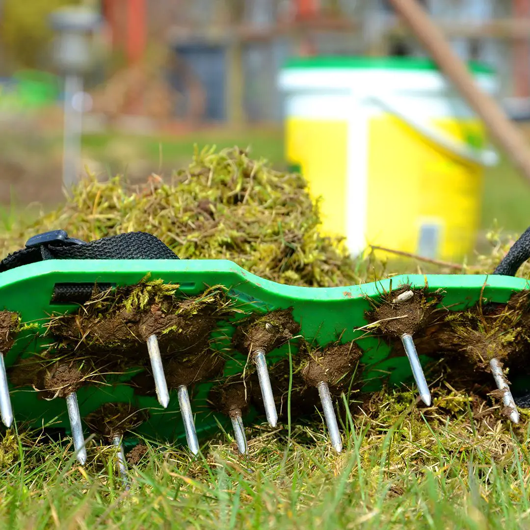 What Are the Benefits of Aeration and Seeding?