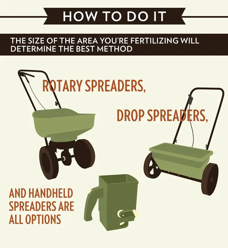 What are the proper steps for fertilizing my lawn?