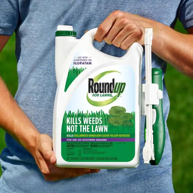 What Do I Use To Kill Clover In My Lawn